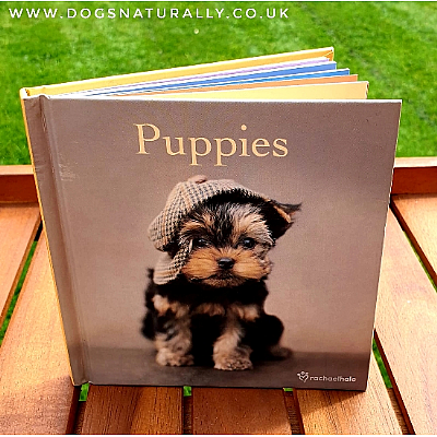 Puppies Dog Lover Gift Book (Rachael Book)